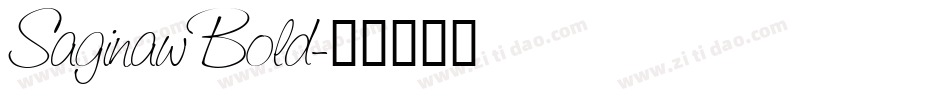 Saginaw Bold字体转换